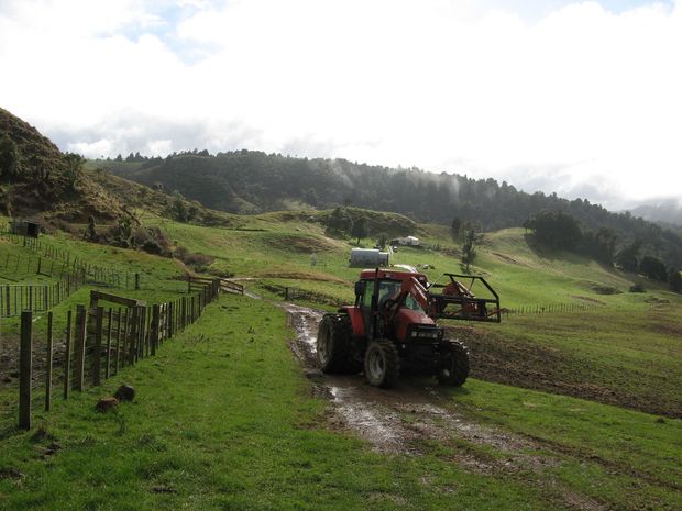 View from barn back to Relda s house and Mt Pirongia in the background