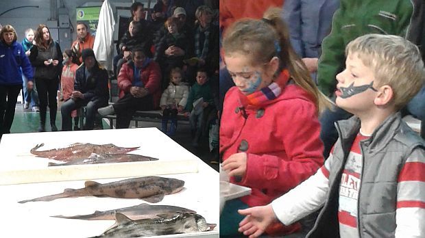 Young shark fans at a public shark dissection